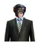 Political Monkey