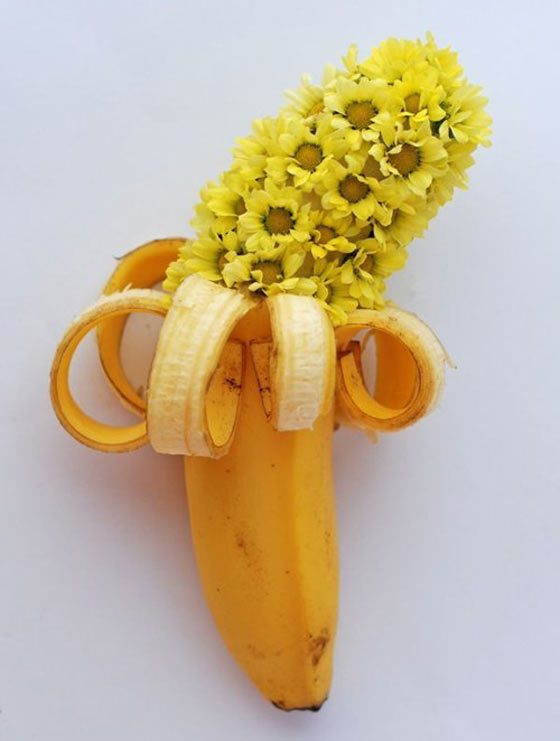 Funny Flowers That Make You Lol