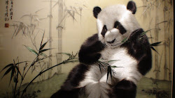 Panda brodé en soie