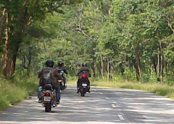 3 forests, a ride through coffee estate across 3 states