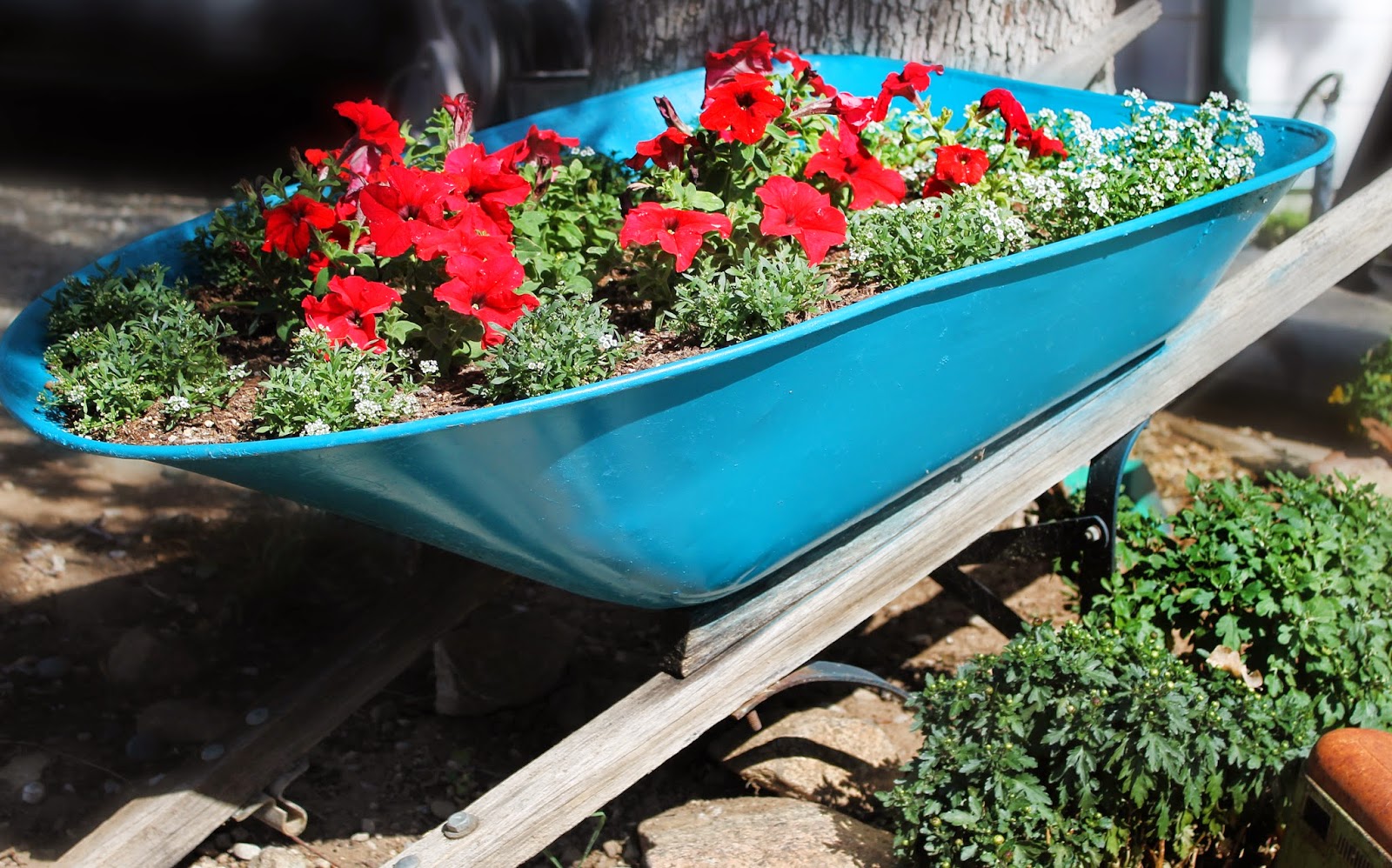 From the Carriage House Wheelbarrow Transformation