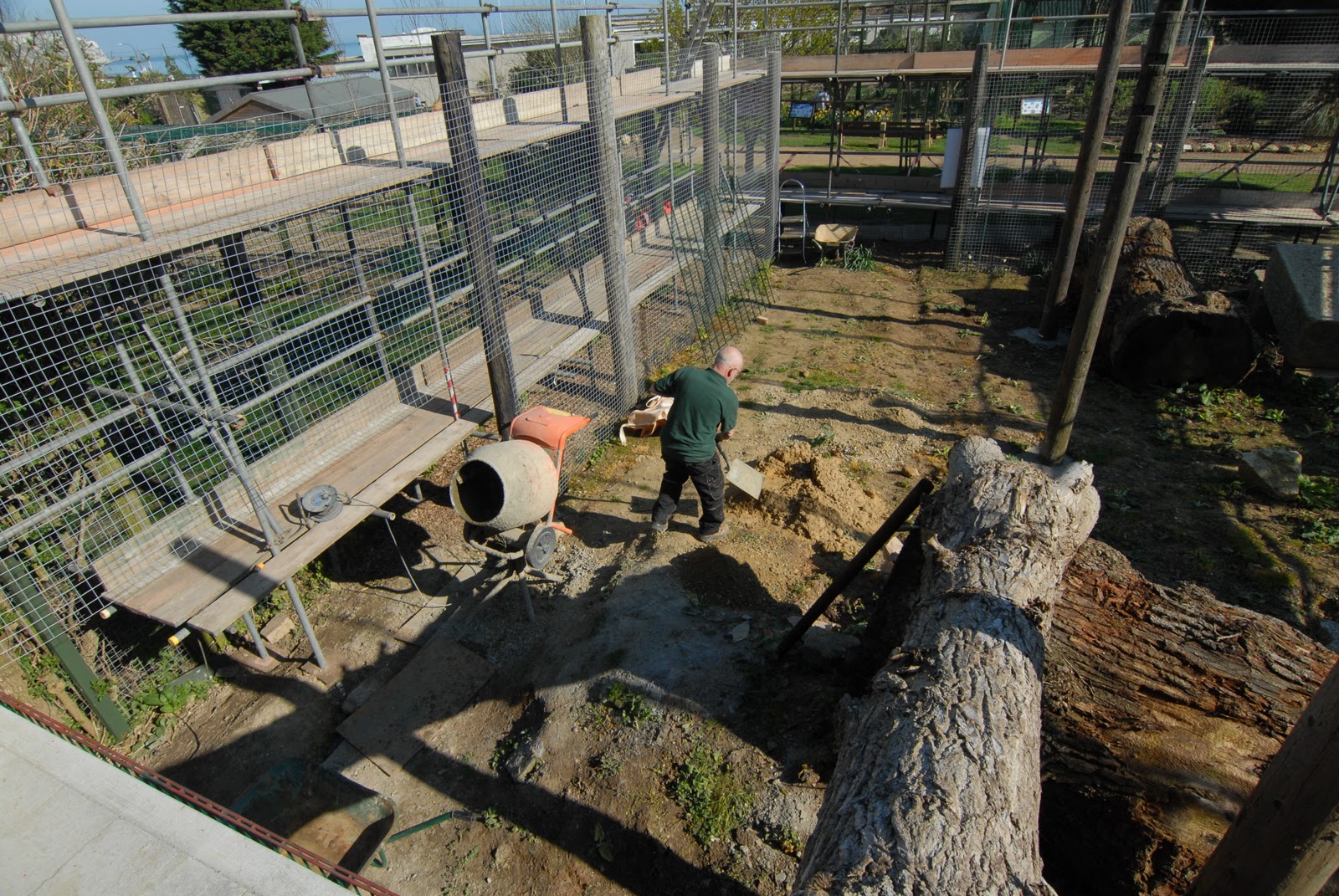 Isle of Wight Zoo Blog New Jaguar enclosure progress and a quick trip to the beach for the