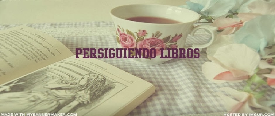 Persiguiendo Libros