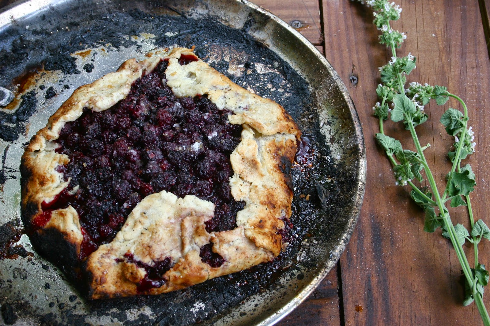 Nothing in the House The First Pizza Party at Big Switch Farm