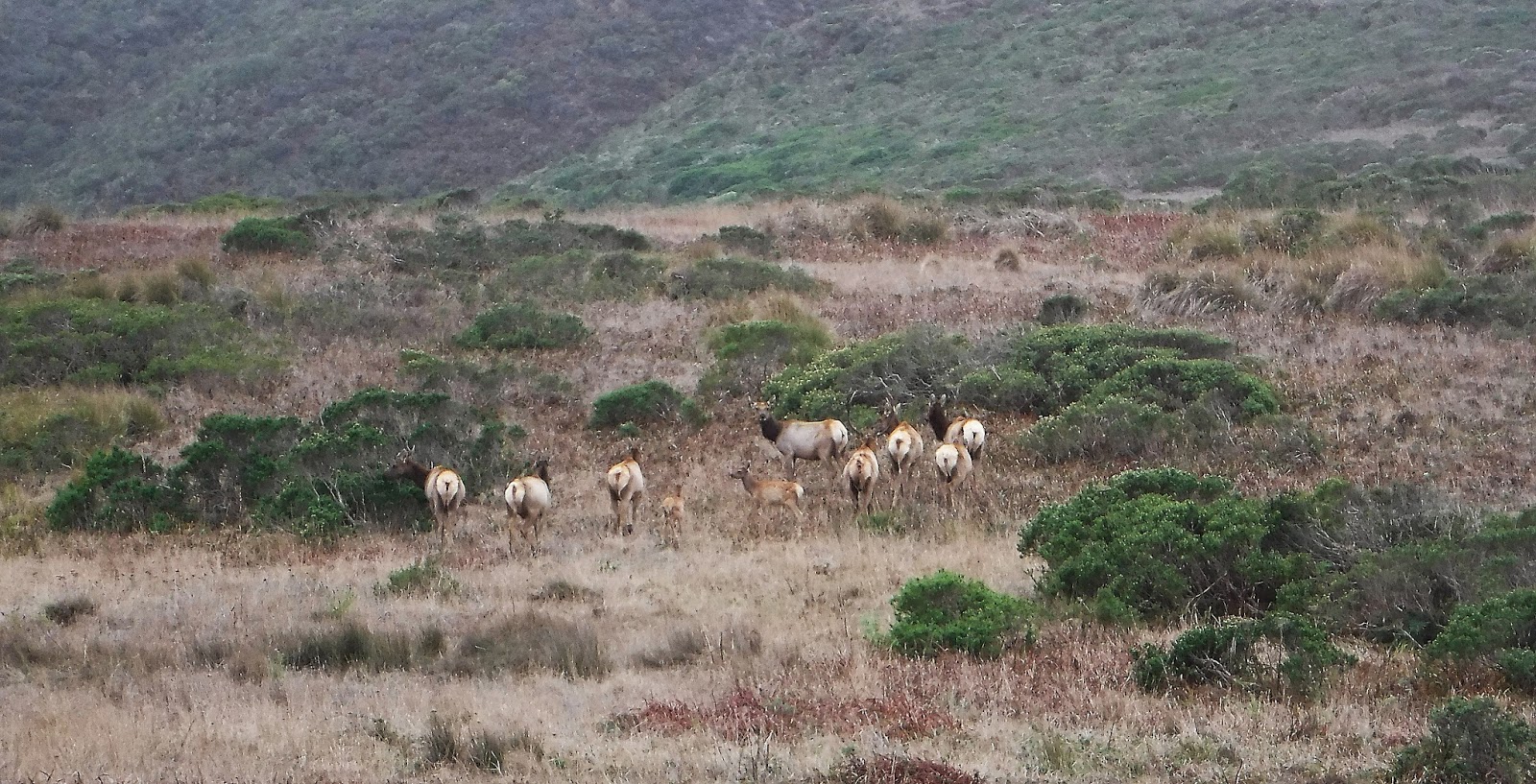 Outside Adventure to the Max ISLAND IN TIME, TOMALES BAY PART I