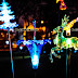 Magical Solar Lightings in the Garden