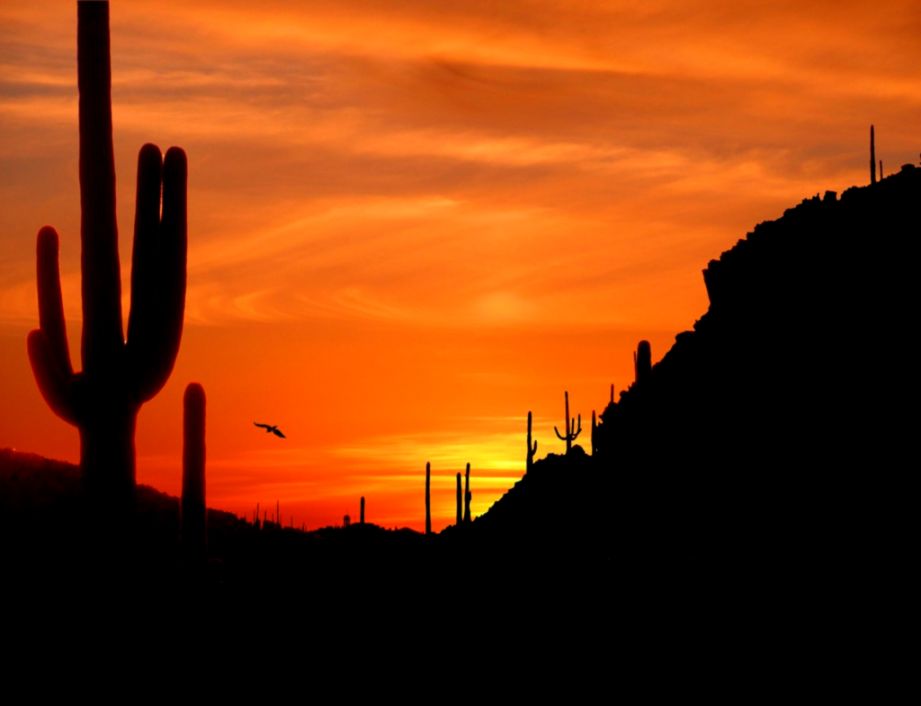 Desert Sunset Wallpapers Desert Sunset Wallpapers