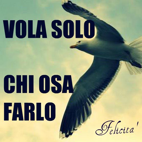 Vola solo chi osa farlo