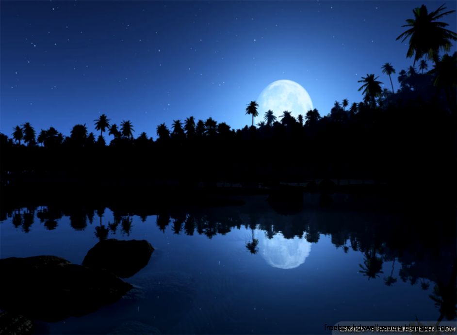 Summer Night wallpapers Crazy Frankenstein Summer Night wallpapers Crazy Frankenstein