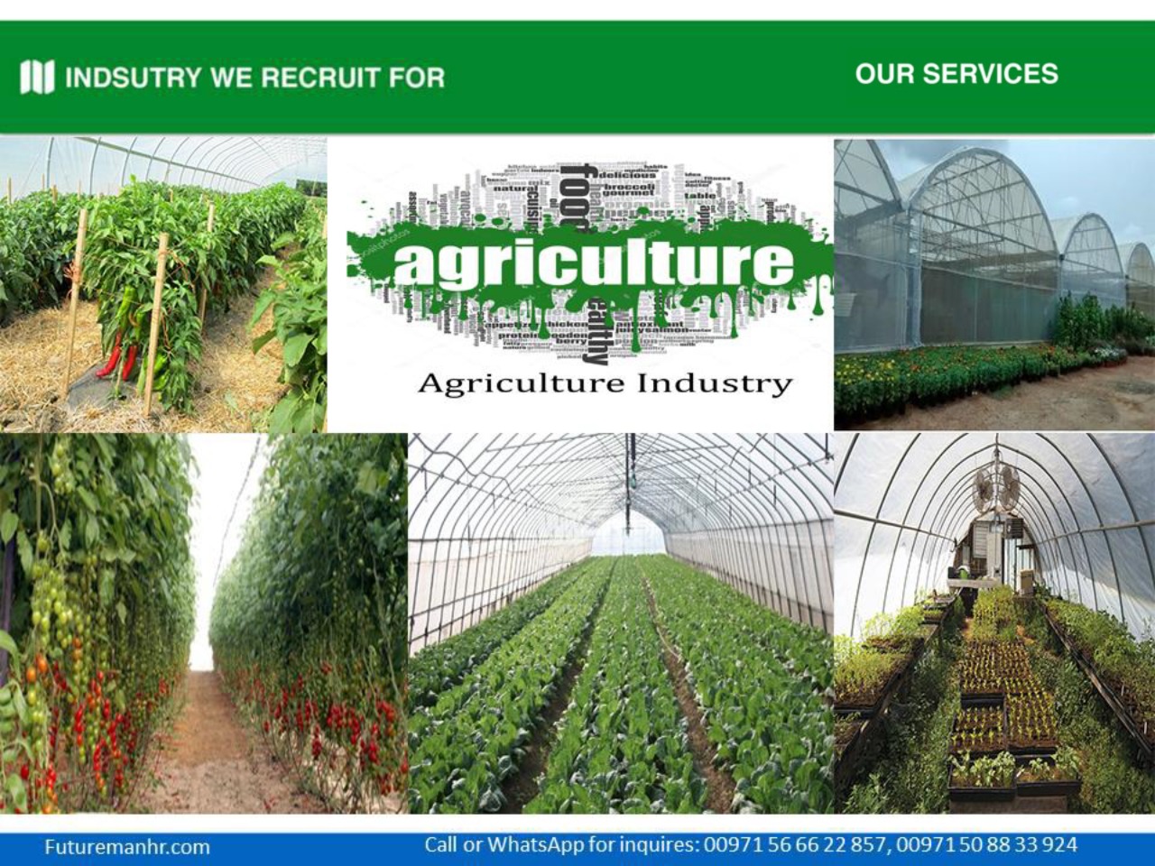 Agriculture Industry (1500 Applicant Available)