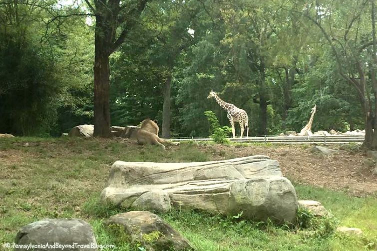 Pennsylvania & Beyond Travel Blog Visiting The Maryland Zoo in Baltimore