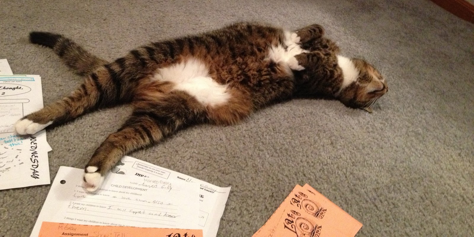 Facs Classroom Ideas May 2013