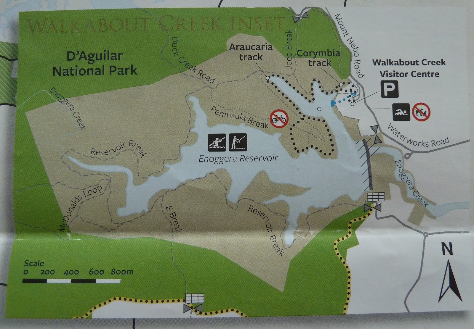 Hey Jude in Brisbane Summer in the city 6 Enoggera Reservoir