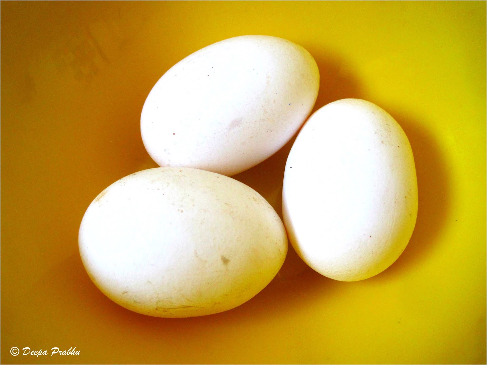 Egg Twin eggs double yolk egg Random Photography