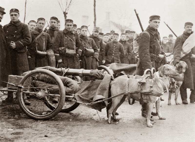 Dogdrawn gun carriages, 1914 vintage everyday