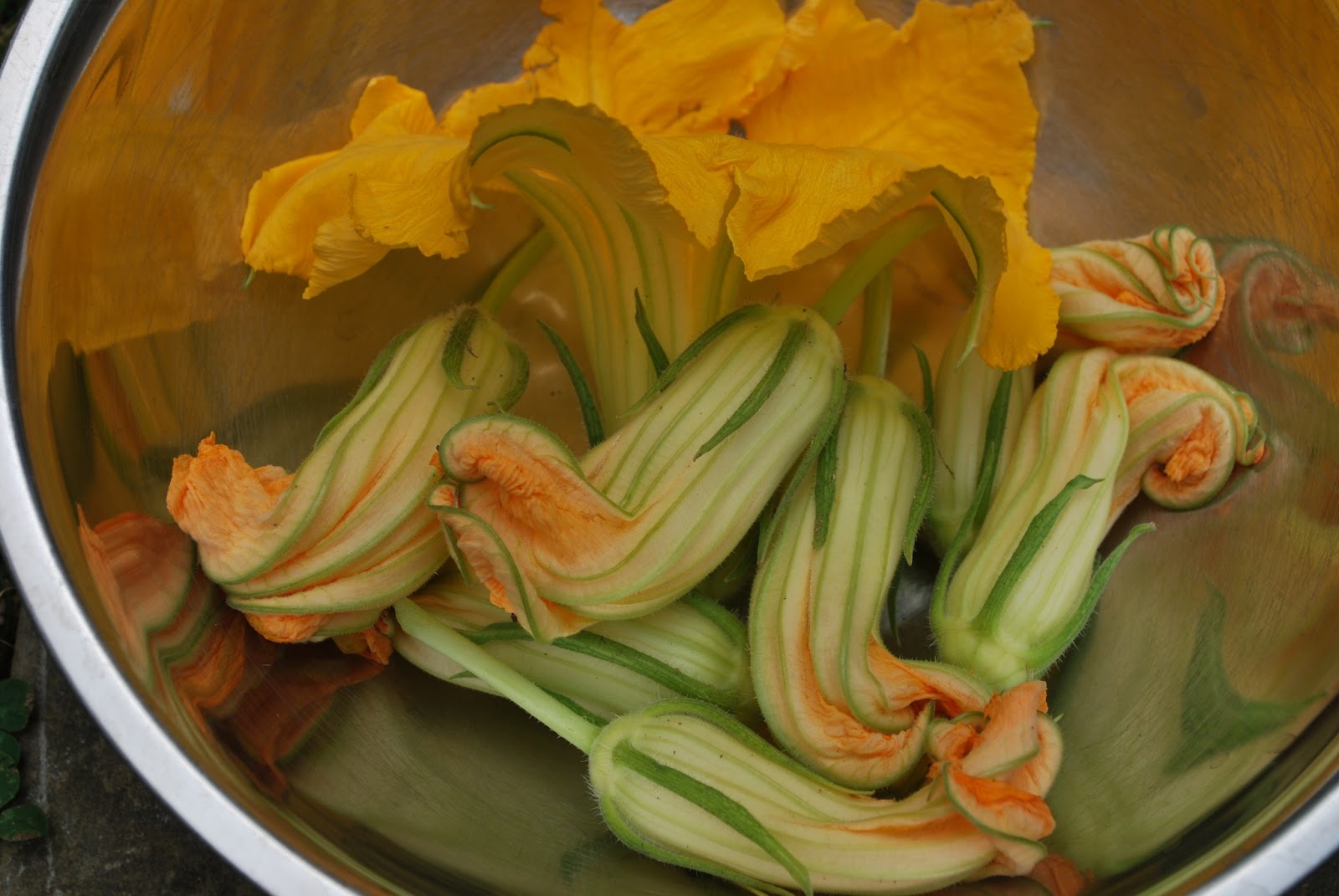 Greenish Thumb How to make stuffed pumpkin blossoms & tempura green beans