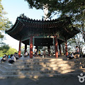 내 사진