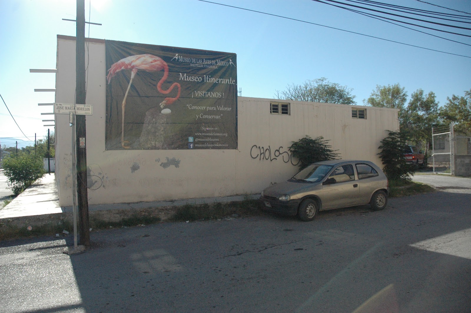 Museo Itinerante del Museo de las Aves de Mexico Municipio de Castaños