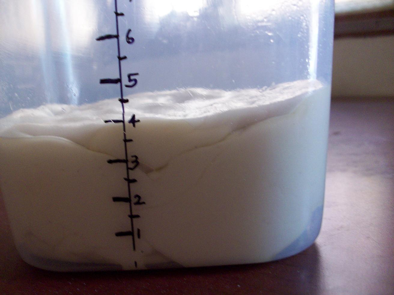 Cakes & More How To Tell At A Glance If My Bread Dough Has Doubled