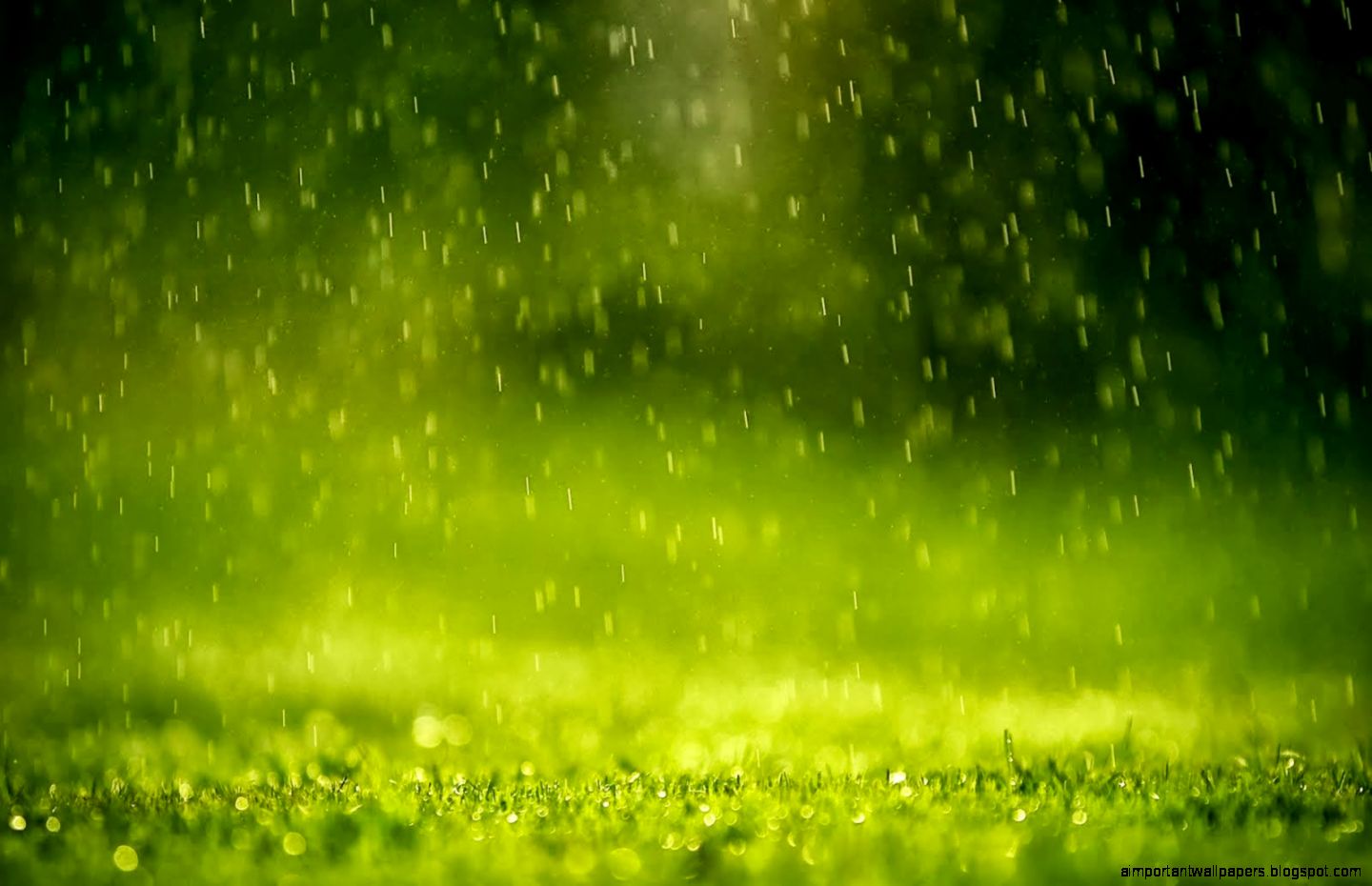 Animated Rain Wallpaper Wallpaper Animated Animated Rain Wallpaper Wallpaper Animated