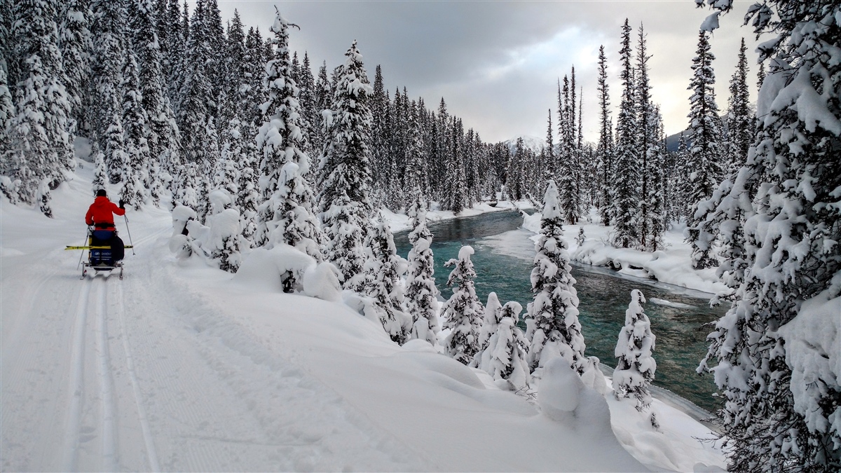 The Best Beginner Cross Country Ski Trails in Lake Louise Play