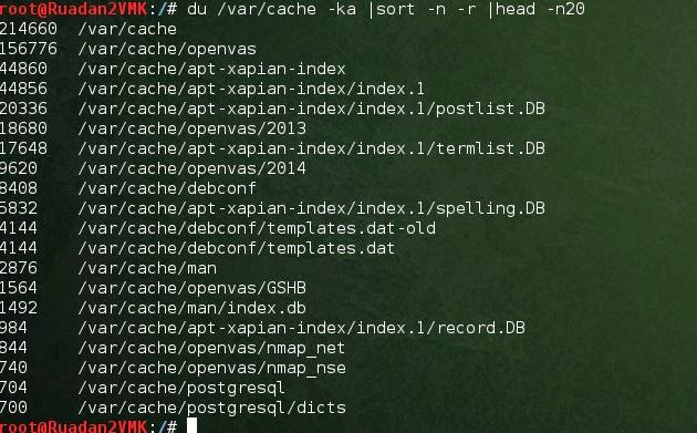 Techienoobie Freeing Disk Space In Kali Linux Basic Steps Especially The Apt Get Cache