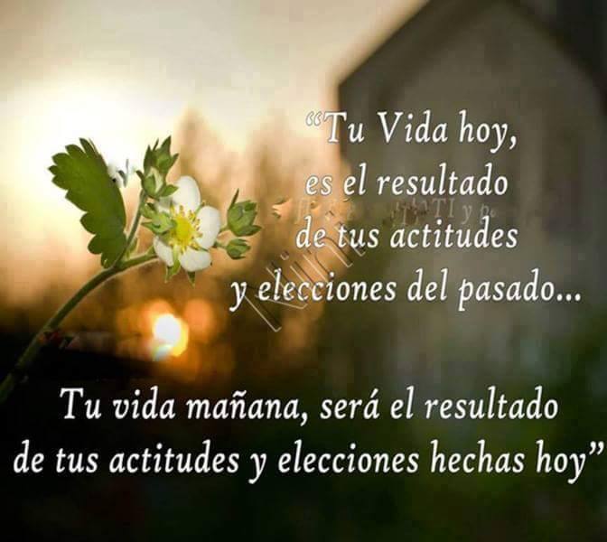 Resultado de imagen para reflexiones de la vid