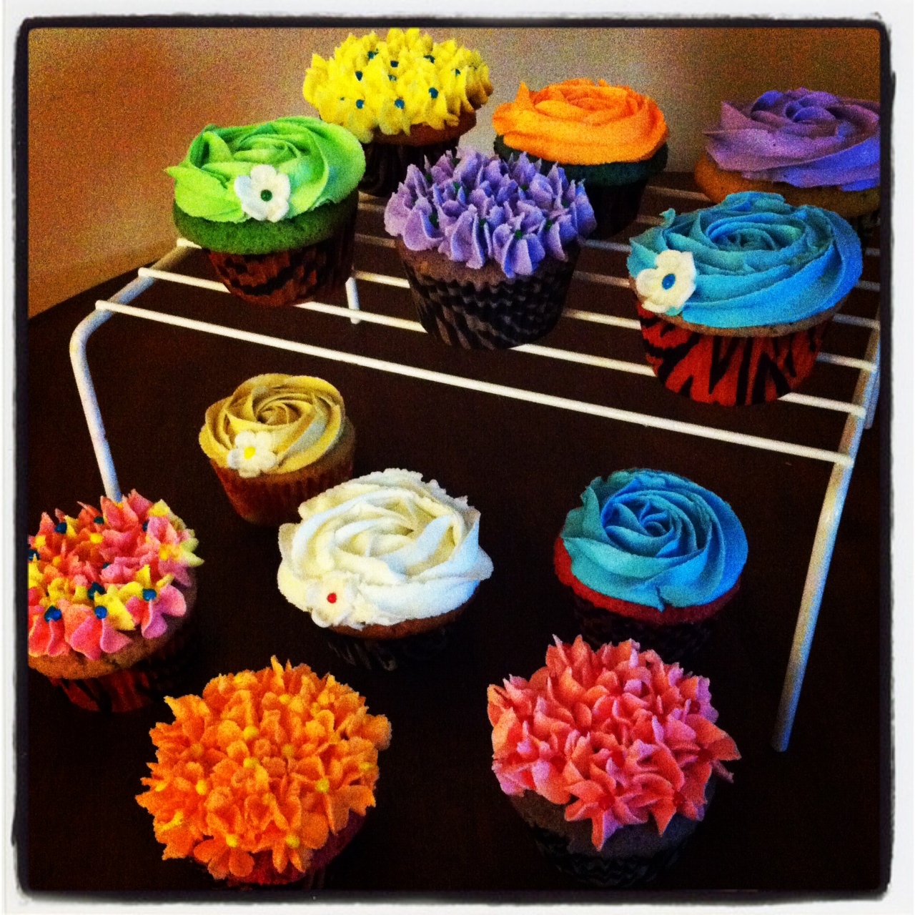 Baked Designs by Cindy Multicolored Cupcakes