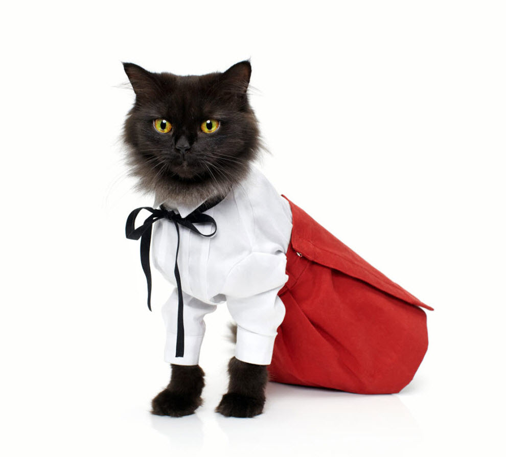 Костюм Игривой кошечки купить со скидкой в секс шопе  Ролевые костюмы  Киска