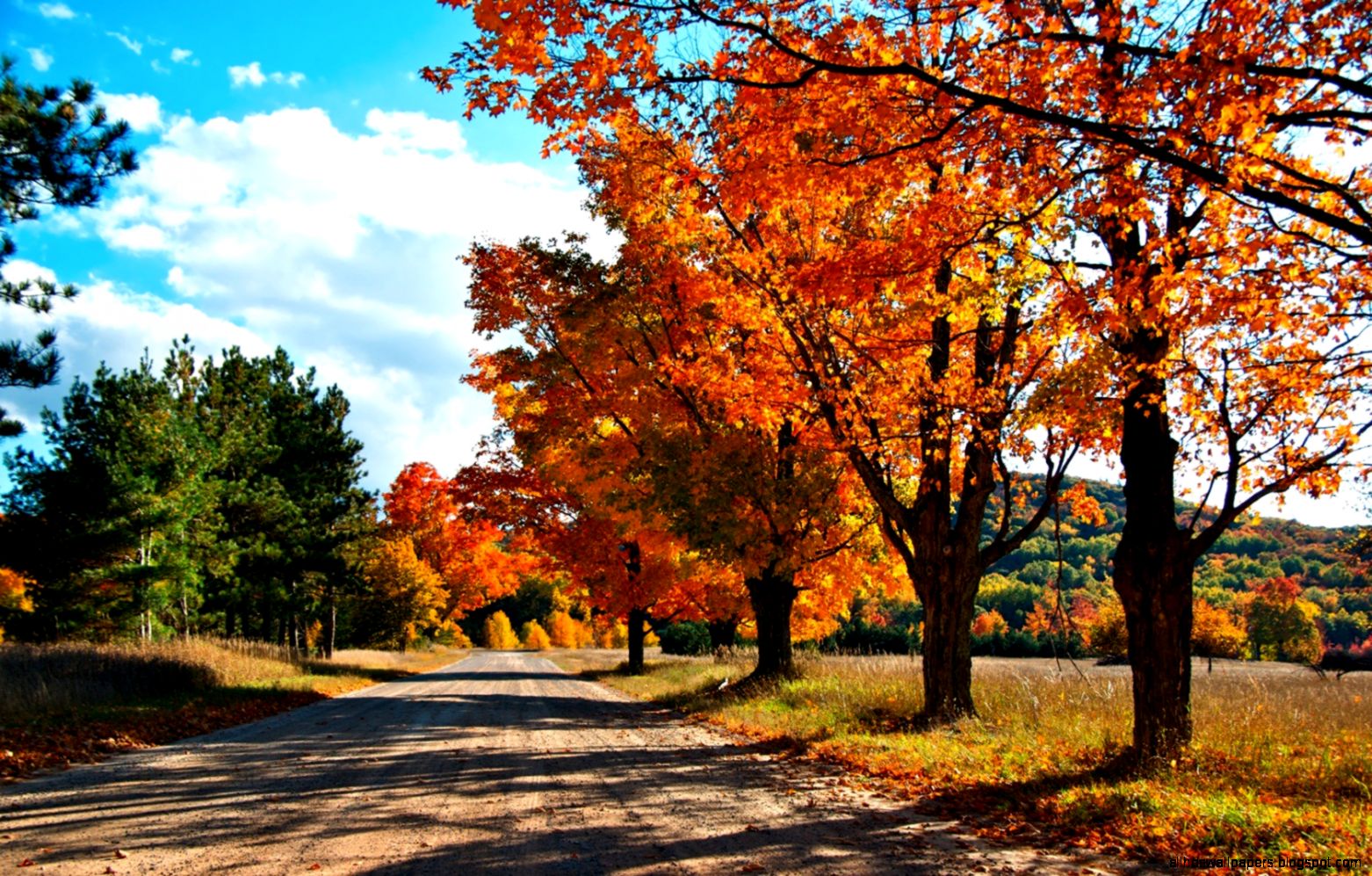 Landscapes Nature Autumn Season Leaves Hd Wallpaper 1680x1050 Landscapes Nature Autumn Season Leaves Hd Wallpaper 1680x1050