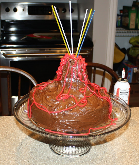 sew grown Volcano Cake