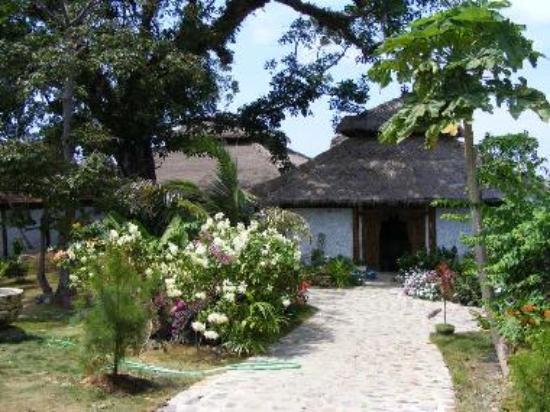 hotel di karimunjawa hotel di karimunjawa