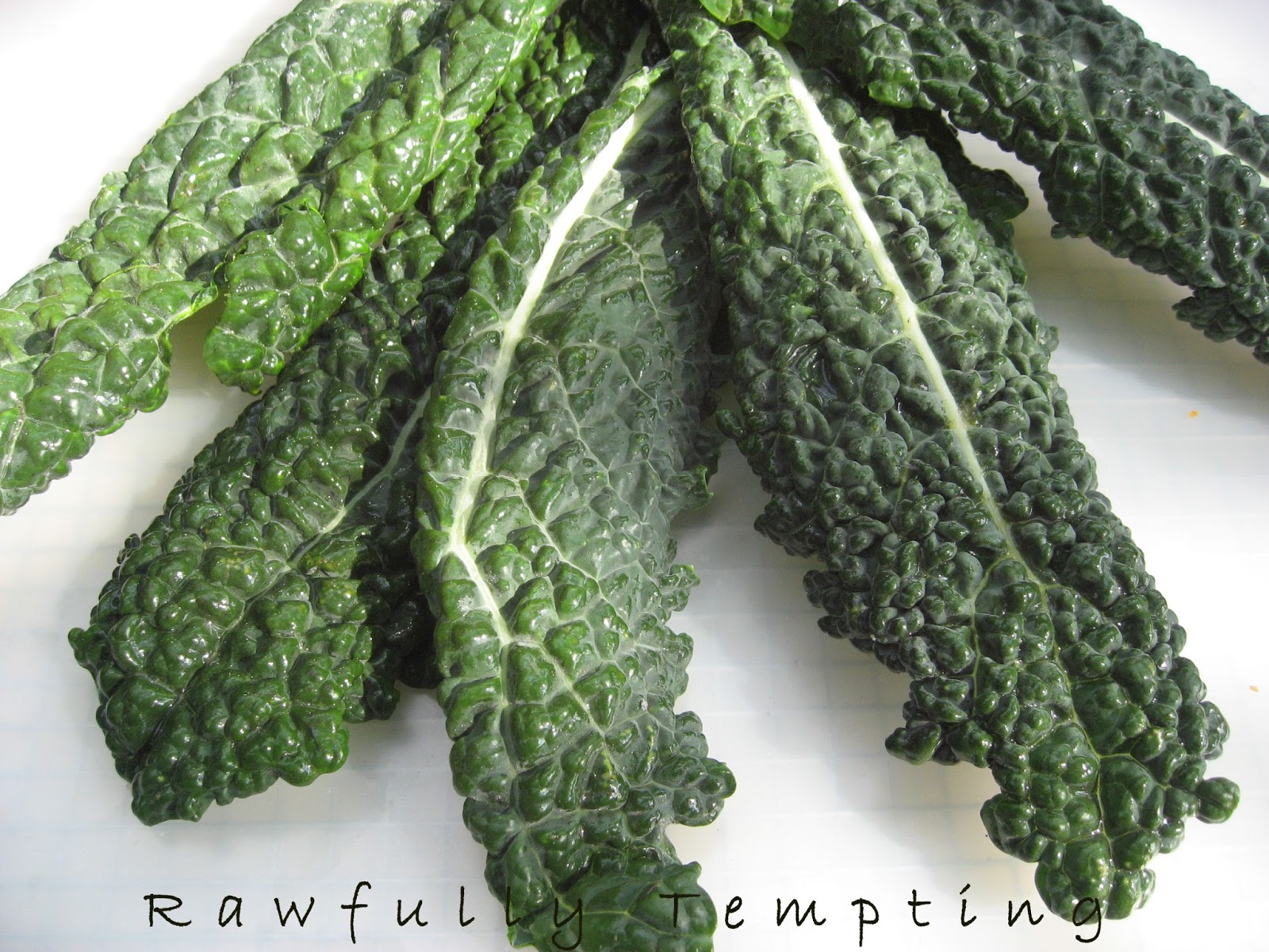 This is Dinosaur (or Lacinto) Kale.