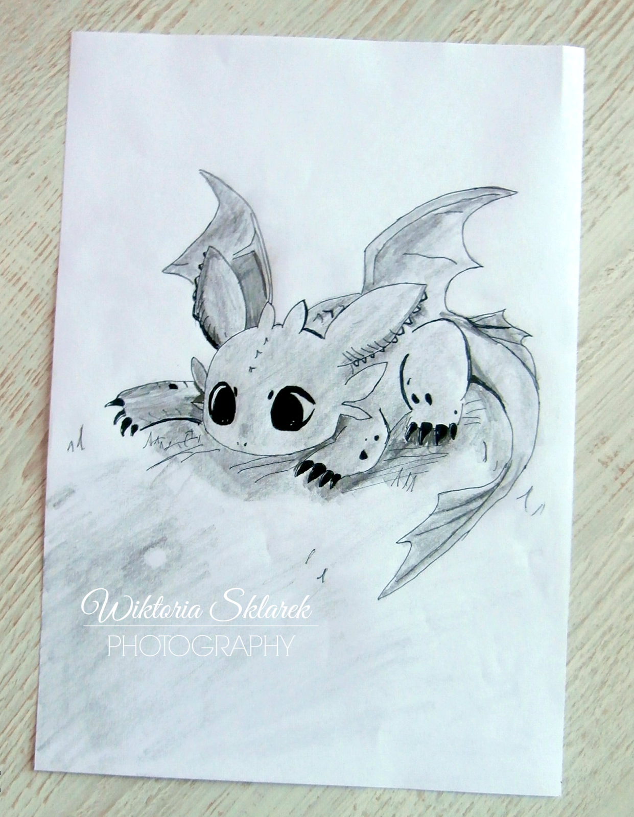 Ardilla Jak Narysowac 3 Szczerbatek