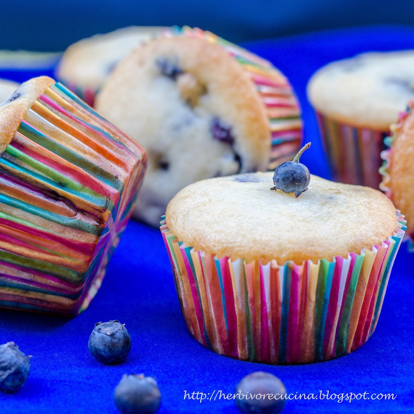 Herbivore Cucina Eggless Blueberry Yogurt Muffins