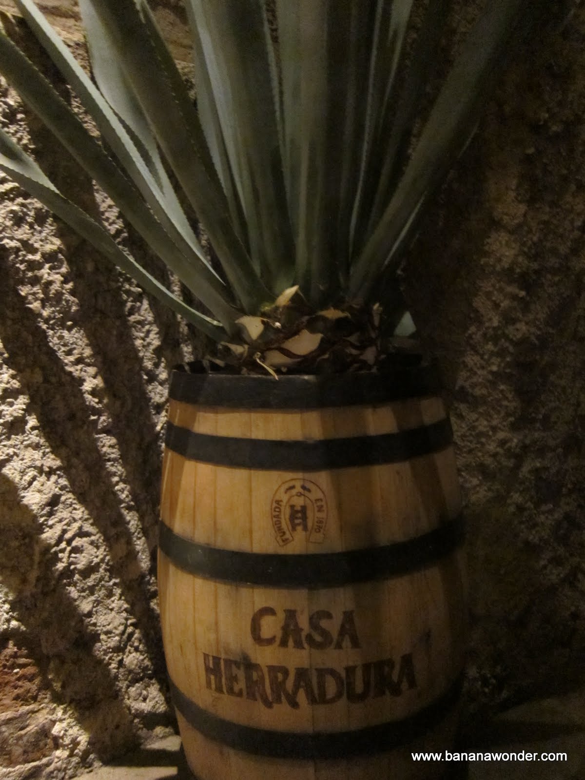 Banana Wonder Virtual Tour of the Herradura Tequila Factory