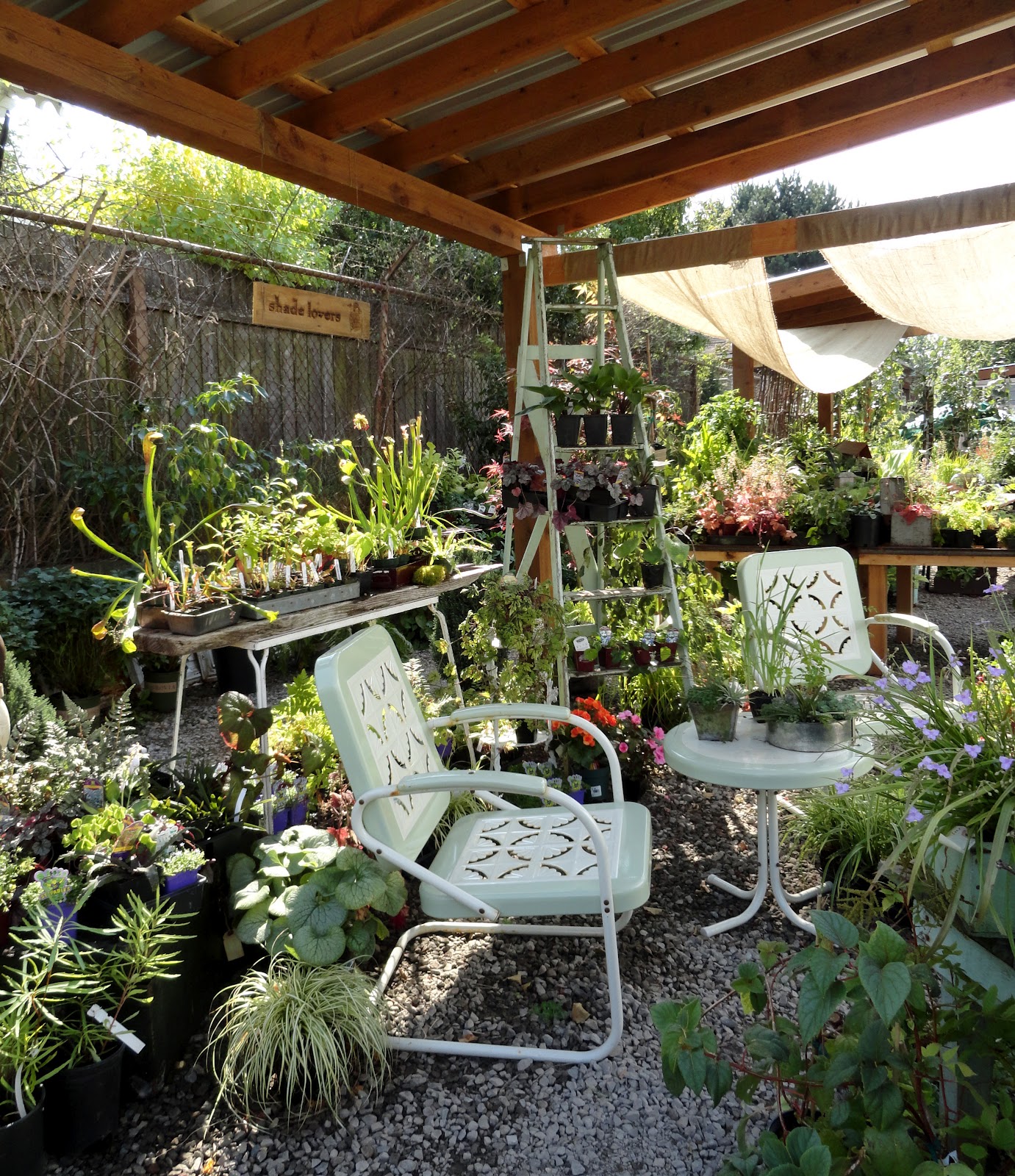 danger garden A story of inspiration; a blog, a garden and a stop at