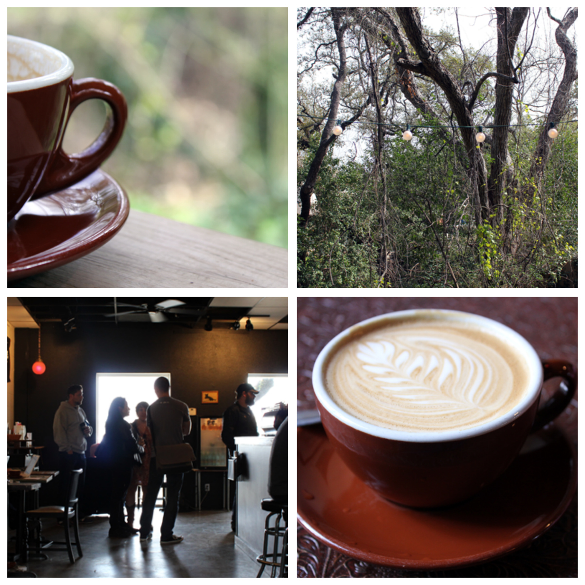 grubbus The Best Coffee in Austin