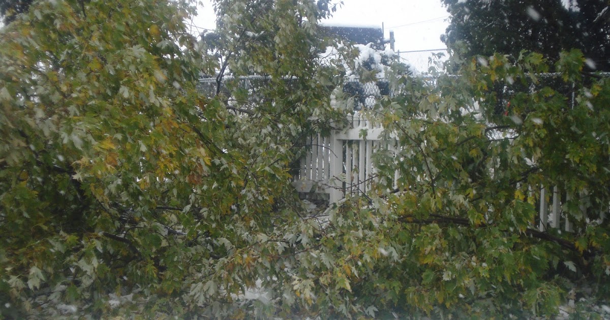 Hurricane sandy freebies