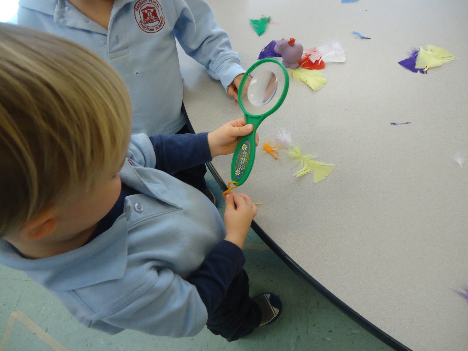 to the HH Toddler Classroom! Exploring Feathers with a