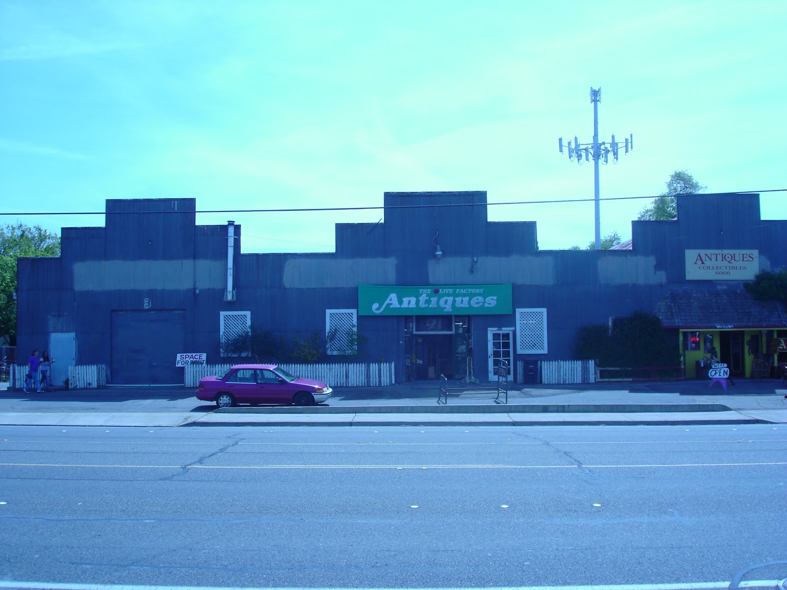 Olive Yuba Authentic 49er Olive Oil?