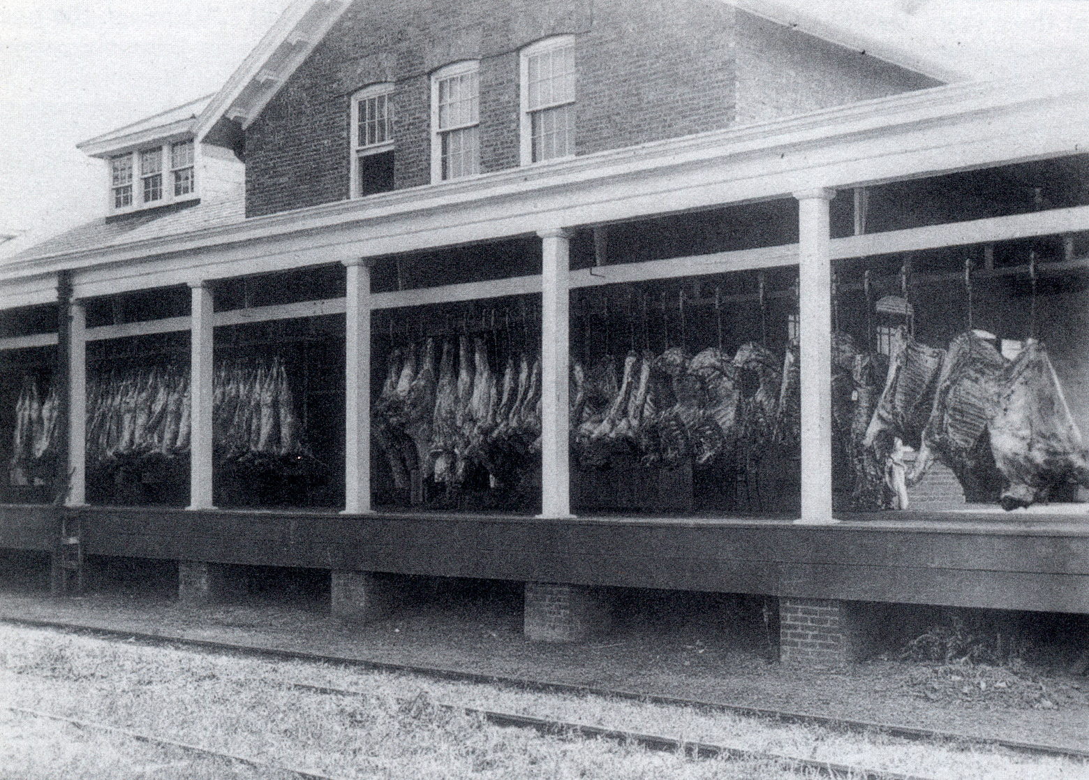 Antiquity Echoes Overbrook Asylum