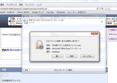 gs_safari5_100818.gif
