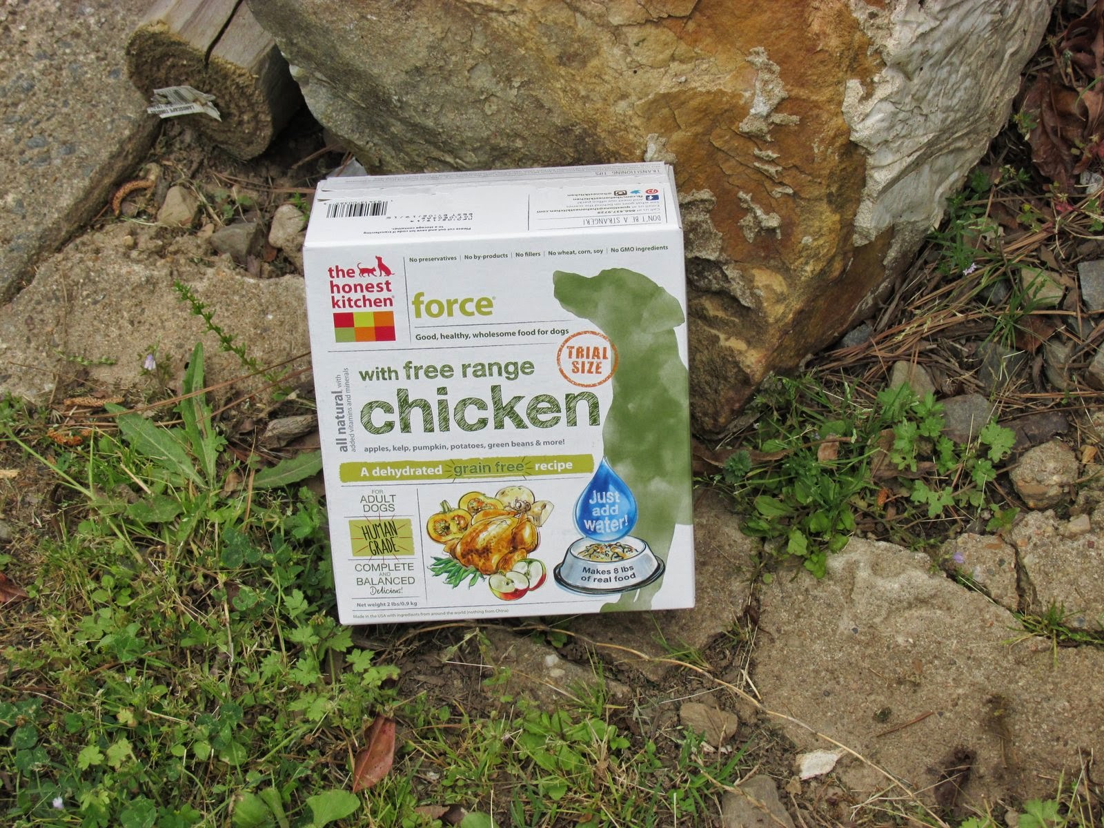 Makeup Mutts The Honest Kitchen Force Dog Food Review