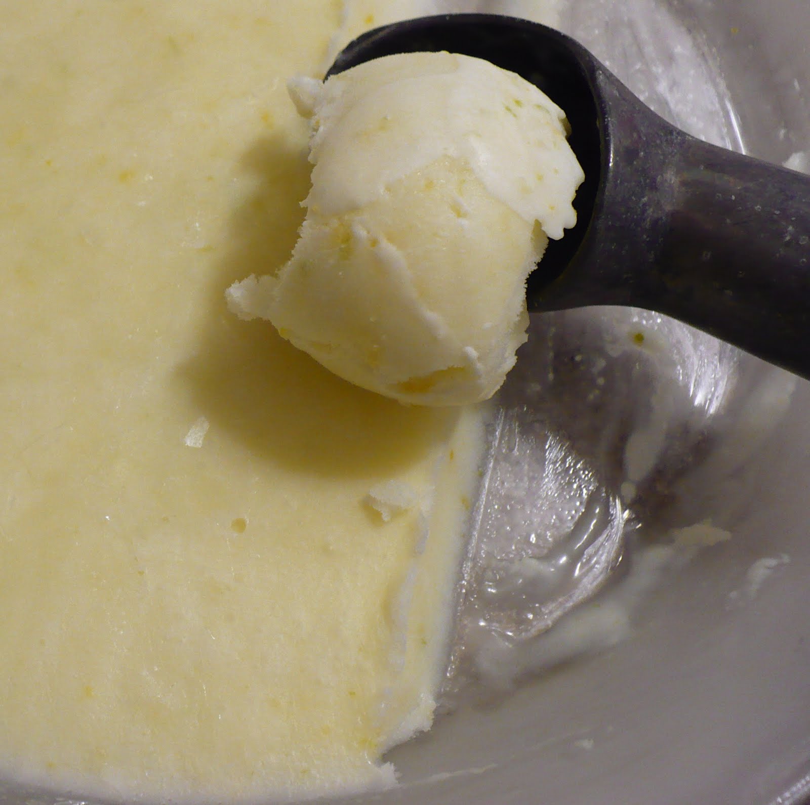 The Tasty Cheapskate LemonLime GelatoNo ice cream maker required
