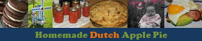 Homemade Dutch Apple Pie