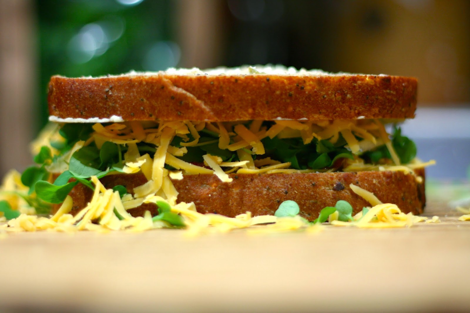 The Little Backyard Farm Meatless Friday Meatless Panini