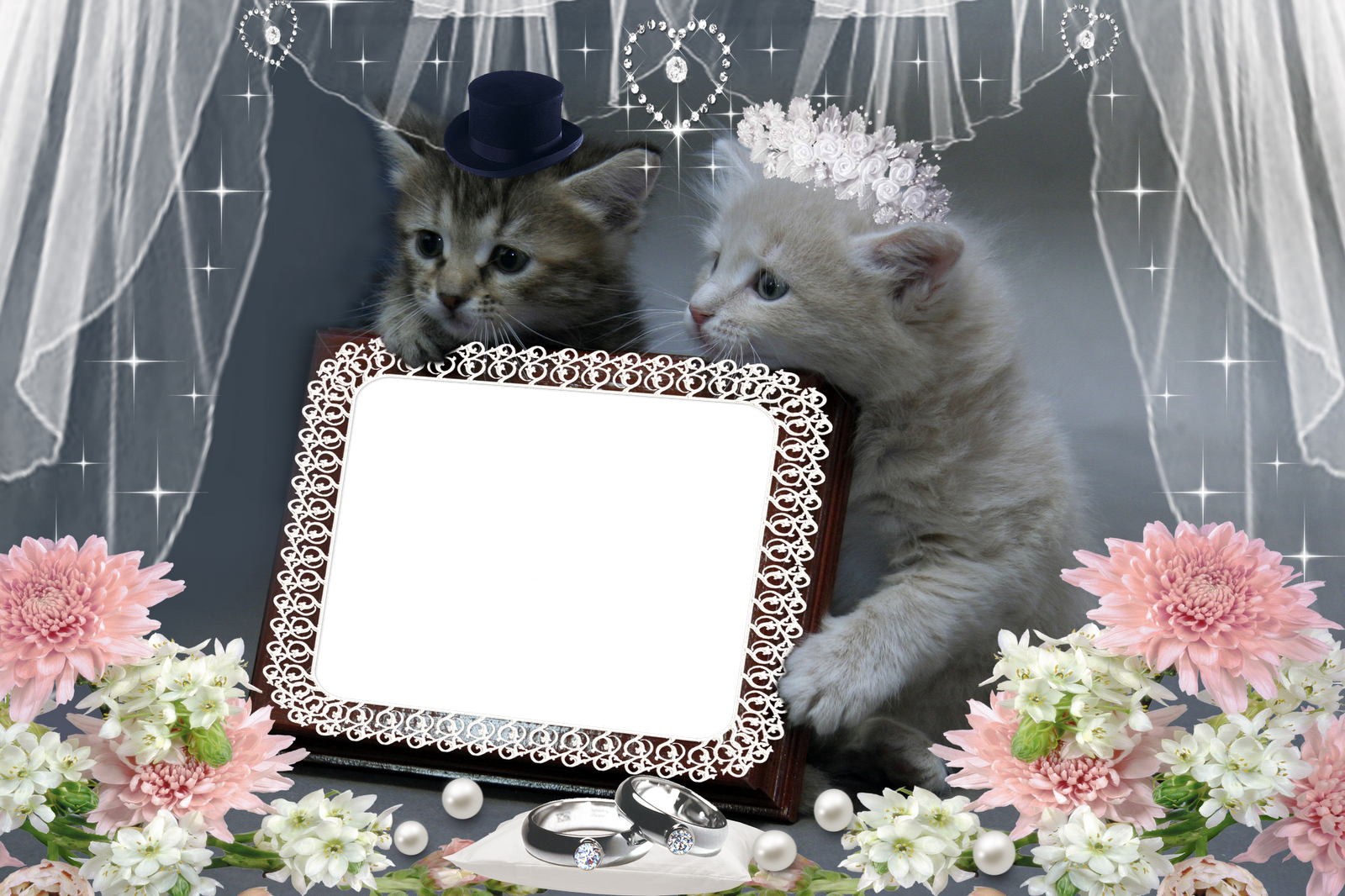 Frames PNG Mix5 Imagens para