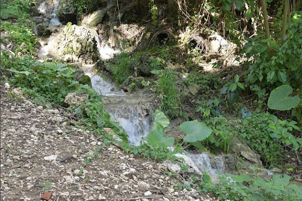 登山街60巷古道修復後現況照 登山街60巷古道修復後現況照