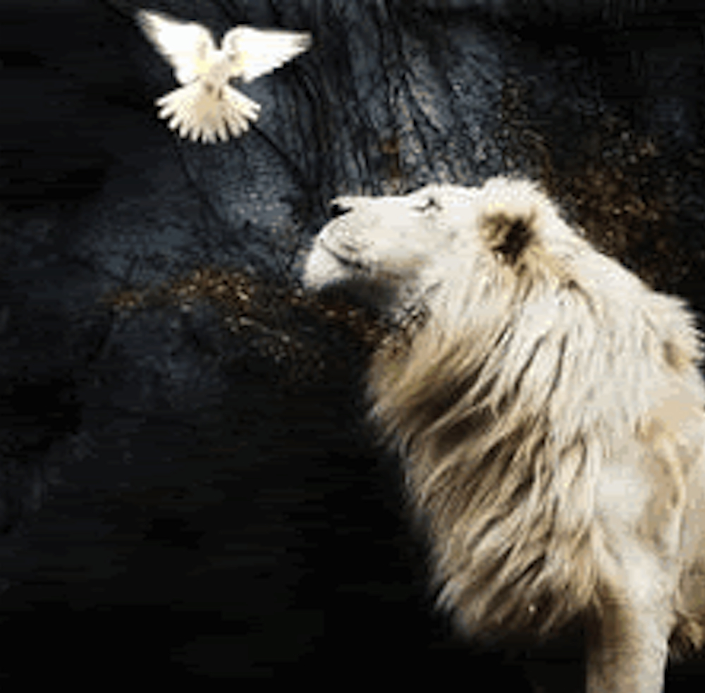 Fearless Journeys & Epic Transformations April 2013